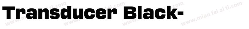 Transducer Black字体转换